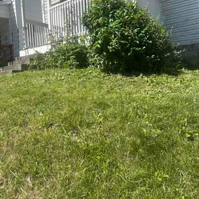 Bush Trimming by Affordable Lawn Care reviewed on June 3, 2026
