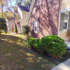 Bush Trimming by Xtreme Klean Pressure washing &amp; Cuts reviewed on March 29, 2023