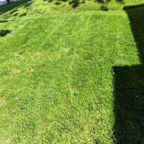 lawn maintenance by K & D Lawn Services reviewed on September 21, 2024