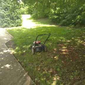 Bush Trimming by Duane & Sons lawn care reviewed on August 18, 2025