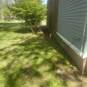 Leaf Removal by Gs lawn care reviewed on August 2, 2026