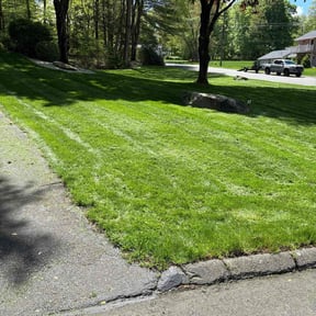 turf care by Baker Lawncare reviewed on August 19, 2025