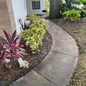 Bush Trimming by Amazing Grass Lawn Service reviewed on April 4, 2024