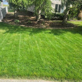 landscaping by Salaam Lawn Care reviewed on August 20, 2025