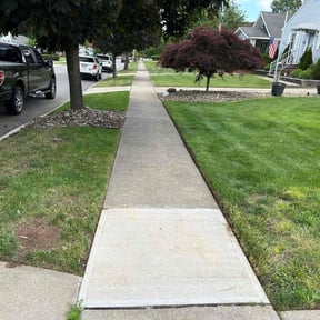 grass maintenance by USA Lawncare Inc reviewed on April 15, 2024