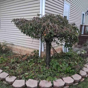 lawn care by Keep it Loe Lawn Service reviewed on May 16, 2024