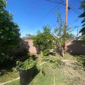 Flower Bed Weeding by Royal Heritage Pressure Washing reviewed on March 26, 2026