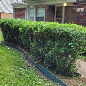 Bush Trimming by Bakers lawn service reviewed on August 18, 2025