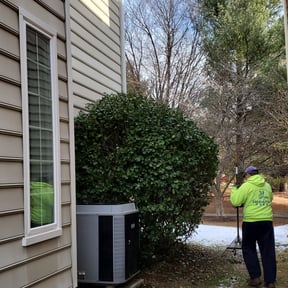 Bush Trimming by Them Joneses reviewed on August 20, 2025