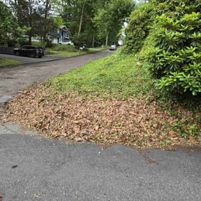 Leaf Removal by Green Blade lawn pros reviewed on September 6, 2025