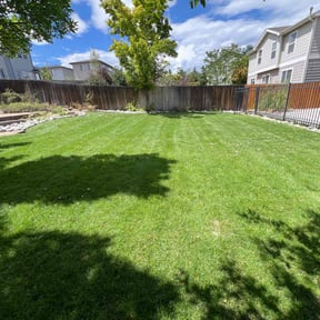 Bush Trimming by 4 Family Lawn Care reviewed on July 24, 2022