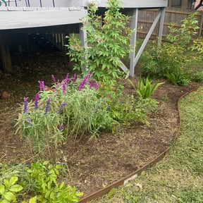 Flower Bed Weeding by Hyde reviewed on August 15, 2025