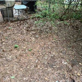 Leaf Removal by Philadelphia Lawn Care reviewed on May 5, 2026