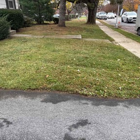 Leaf Removal by BENNETT LINKS SOLUTIONS reviewed on October 19, 2025