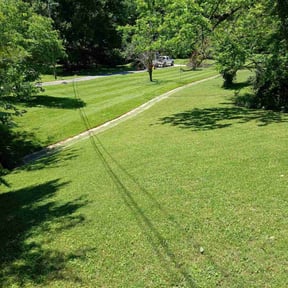 yard work by Cutting Edge Lawncare reviewed on August 17, 2025