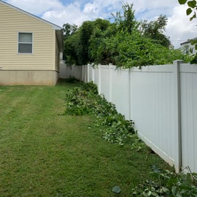 Bush Trimming by We Do It All LLC reviewed on August 17, 2025