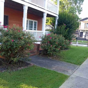 turf maintenance by Sos Laborers: Property Management Services reviewed on October 9, 2024