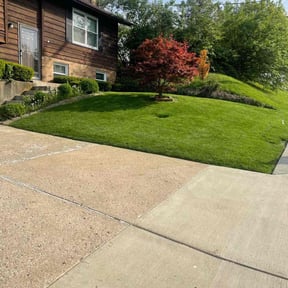 yard service by Bright Rays Lawn Service LLC reviewed on August 17, 2025