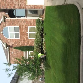 Bush Trimming by Solis lawn care reviewed on August 17, 2025