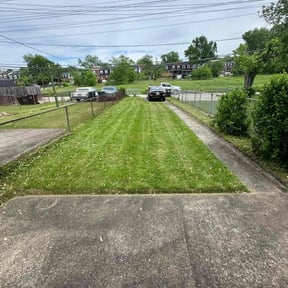 grass maintenance by Lawn Impression reviewed on December 12, 2023