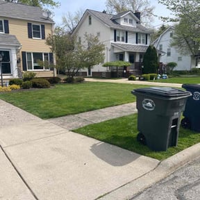 lawn maintenance by DTE Maintenance Llc reviewed on April 17, 2024