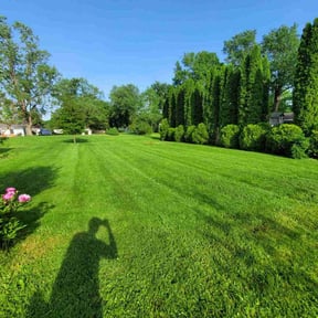 yard maintenance by Schuetz Landscaping Services reviewed on August 21, 2025