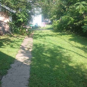 grass cutting by Handy Jim Dandy reviewed on July 3, 2025