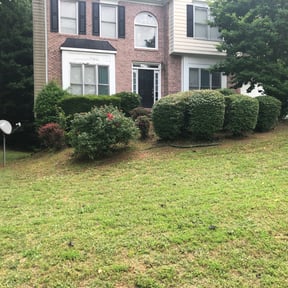 Bush Trimming by Fine Edge LLC reviewed on August 19, 2025