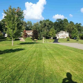 yard care by A+ Lamonds lawn&landscape reviewed on August 20, 2025