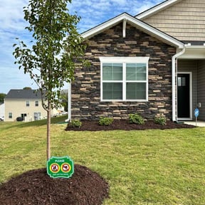 Mulching by God&#039;s Gift Lawn maintenance reviewed on August 21, 2025