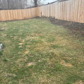 Leaf Removal by Mike's lawn Care reviewed on June 24, 2026
