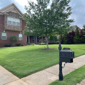 yard maintenance by Concrete and landscape+plus reviewed on August 21, 2025