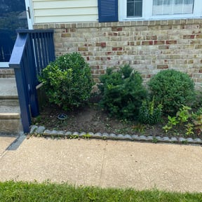 Bush Trimming by Serenity Lawn and Leaf reviewed on August 20, 2025