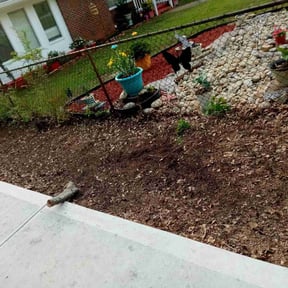 Leaf Removal by Mayan Terrain&amp;Landscape reviewed on October 1, 2025