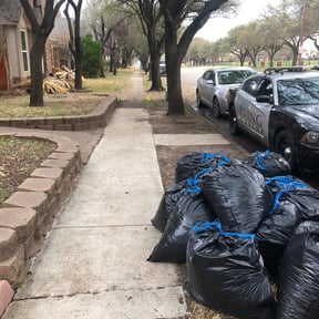 Leaf Removal by Jack of all Trades reviewed on September 19, 2025