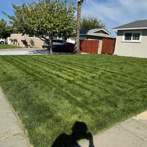 lawn maintenance by P&amp;J Landscaping LLC reviewed on May 8, 2024