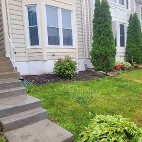 Flower Bed Weeding by Them Joneses reviewed on August 19, 2025