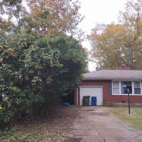 Bush Trimming by Platinum Lawns and Landscaping  reviewed on November 23, 2025