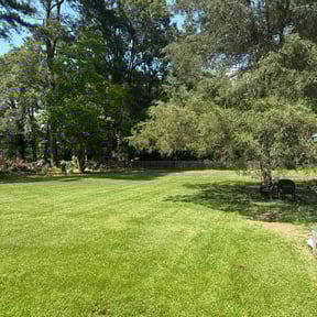 landscaping services by Mid Florida Lawn Rescue reviewed on August 15, 2025