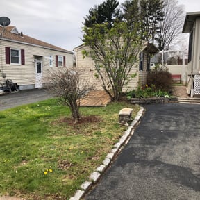 Bush Trimming by JH and Son reviewed on December 3, 2025