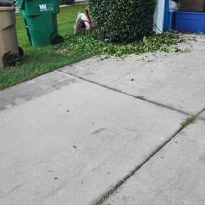 Bush Trimming by Johnny Mundy Lawncare reviewed on January 8, 2026