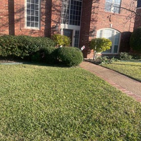 Bush Trimming by Fuentes landing reviewed on August 20, 2025