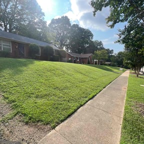 yard service by B and C Lawn Care reviewed on October 21, 2025