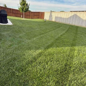 Bush Trimming by Mow Masters Llc reviewed on May 11, 2025