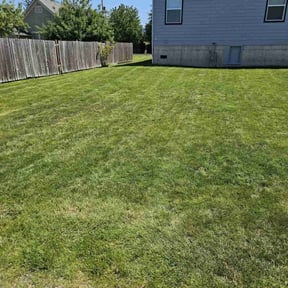 yard care by Diamond Cut Home and Lawn Services reviewed on August 15, 2025