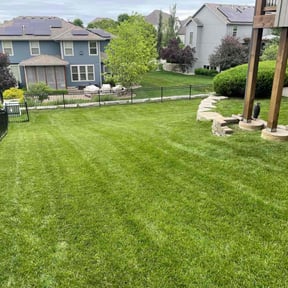 landscape maintenance by Lone Wolf Lawn Care reviewed on August 15, 2025