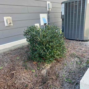 Bush Trimming by Reinhard Lawn Service reviewed on April 30, 2026