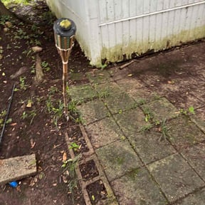 Leaf Removal by Juancho&#039;s Lawn Service reviewed on October 1, 2025