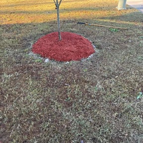 Mulching by Murphy&#039;s Lawn &amp; Landscape reviewed on November 22, 2025