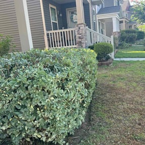 Bush Trimming by Jason's Home Service's LLC reviewed on August 16, 2025